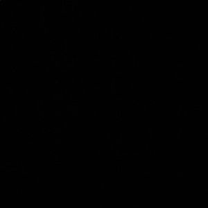 Meet your Posher, Ellen